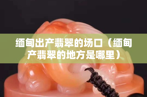 缅甸出产翡翠的场口（缅甸产翡翠的地方是哪里）
