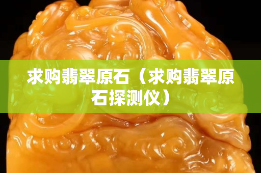 求购翡翠原石（求购翡翠原石探测仪）