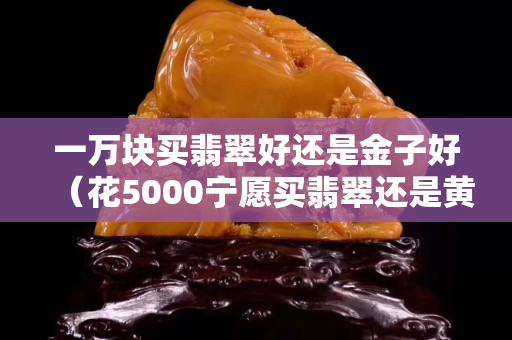 一万块买翡翠好还是金子好（花5000宁愿买翡翠还是黄金）