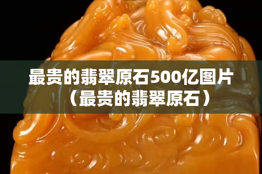 最贵的翡翠原石500亿图片（最贵的翡翠原石）