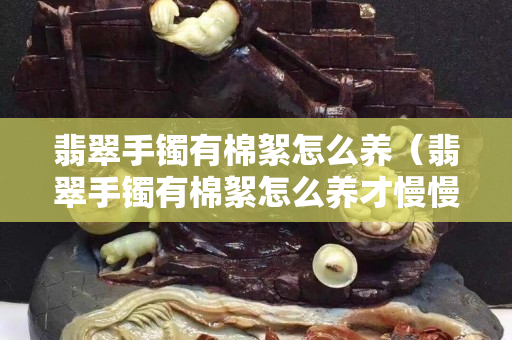 翡翠手镯有棉絮怎么养（翡翠手镯有棉絮怎么养才慢慢散）