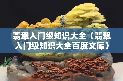 翡翠入门级知识大全（翡翠入门级知识大全百度文库）