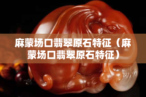 麻蒙场口翡翠原石特征（麻蒙场口翡翠原石特征）