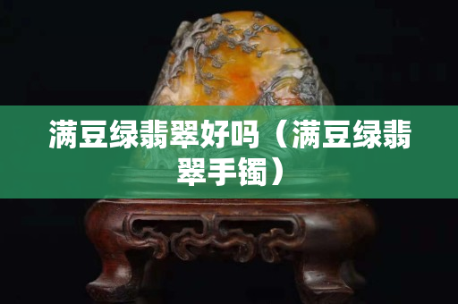 满豆绿翡翠好吗（满豆绿翡翠手镯）