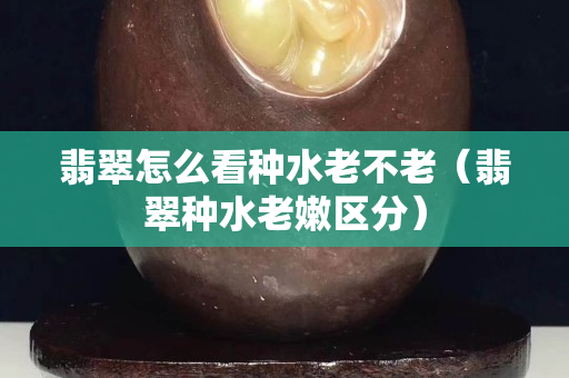 翡翠怎么看种水老不老（翡翠种水老嫩区分）