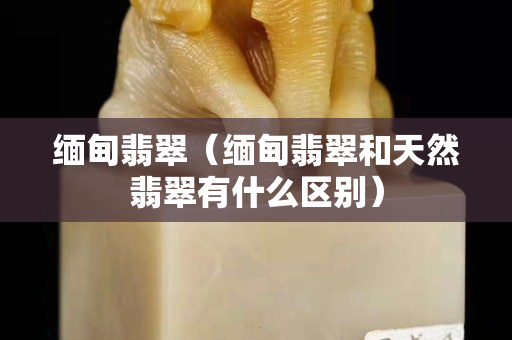 缅甸翡翠（缅甸翡翠和天然翡翠有什么区别）