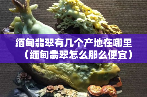 缅甸翡翠有几个产地在哪里（缅甸翡翠怎么那么便宜）