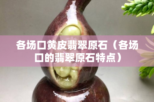 各场口黄皮翡翠原石（各场口的翡翠原石特点）