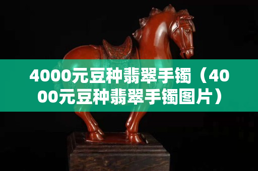 4000元豆种翡翠手镯（4000元豆种翡翠手镯图片）