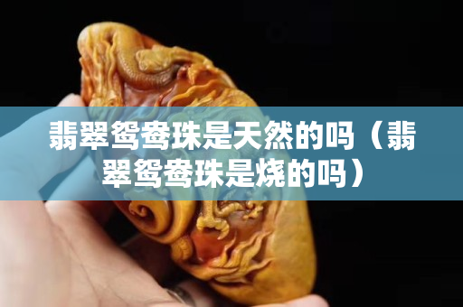 翡翠鸳鸯珠是天然的吗（翡翠鸳鸯珠是烧的吗）