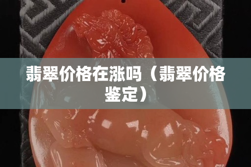 翡翠价格在涨吗（翡翠价格鉴定）