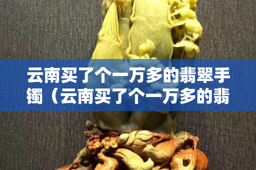 云南买了个一万多的翡翠手镯（云南买了个一万多的翡翠手镯实际多少钱）