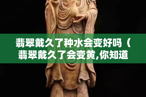 翡翠戴久了种水会变好吗（翡翠戴久了会变黄,你知道其中的原因么）