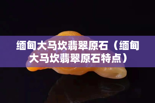 缅甸大马坎翡翠原石（缅甸大马坎翡翠原石特点）