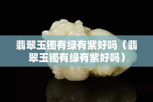 翡翠玉镯有绿有紫好吗（翡翠玉镯有绿有紫好吗）