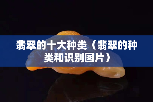 翡翠的十大种类（翡翠的种类和识别图片）