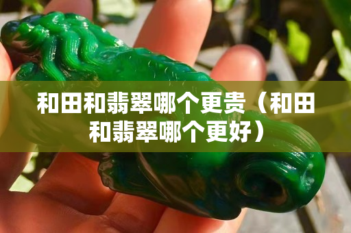 和田和翡翠哪个更贵（和田和翡翠哪个更好）