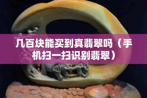 几百块能买到真翡翠吗（手机扫一扫识别翡翠）