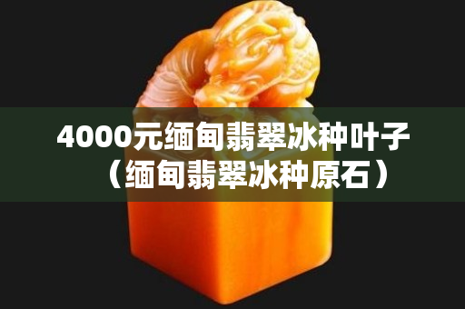 4000元缅甸翡翠冰种叶子（缅甸翡翠冰种原石）