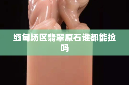 缅甸场区翡翠原石谁都能捡吗