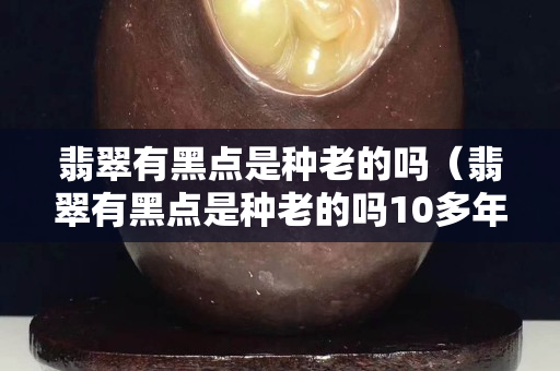 翡翠有黑点是种老的吗（翡翠有黑点是种老的吗10多年）