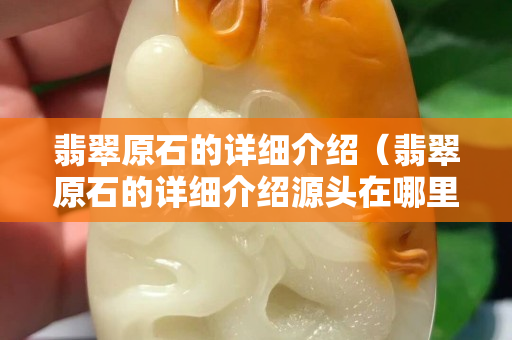 翡翠原石的详细介绍（翡翠原石的详细介绍源头在哪里）