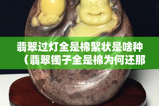 翡翠过灯全是棉絮状是啥种（翡翠镯子全是棉为何还那么贵）