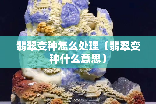 翡翠变种怎么处理（翡翠变种什么意思）