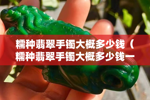 糯种翡翠手镯大概多少钱（糯种翡翠手镯大概多少钱一个）