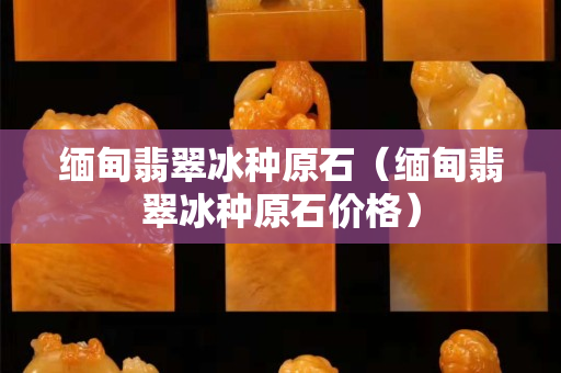 缅甸翡翠冰种原石（缅甸翡翠冰种原石价格）