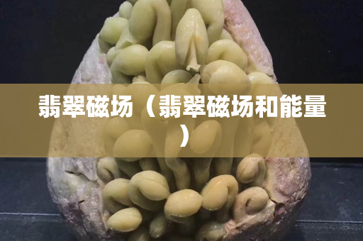 翡翠磁场（翡翠磁场和能量）