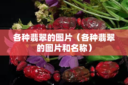 各种翡翠的图片（各种翡翠的图片和名称）
