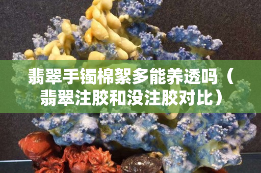 翡翠手镯棉絮多能养透吗（翡翠注胶和没注胶对比）