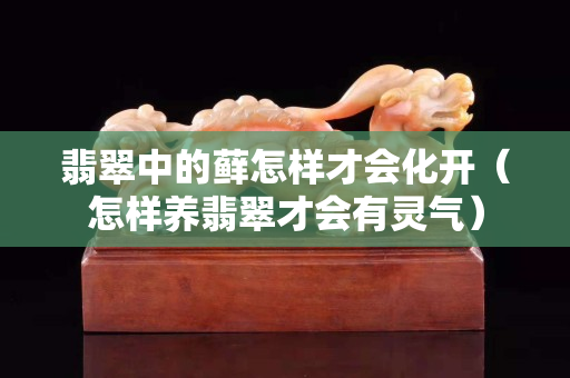 翡翠中的藓怎样才会化开（怎样养翡翠才会有灵气）