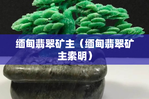 缅甸翡翠矿主（缅甸翡翠矿主索明）