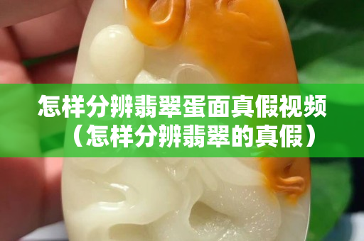 怎样分辨翡翠蛋面真假视频（怎样分辨翡翠的真假）