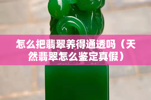 怎么把翡翠养得通透吗（天然翡翠怎么鉴定真假）