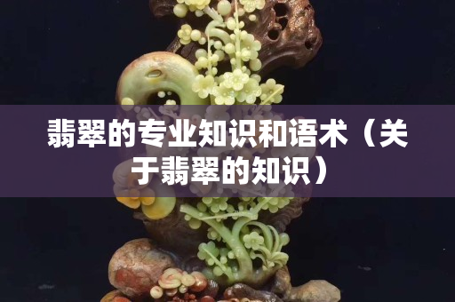 翡翠的专业知识和语术（关于翡翠的知识）