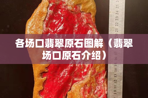 各场口翡翠原石图解（翡翠场口原石介绍）