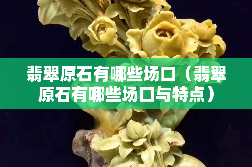 翡翠原石有哪些场口（翡翠原石有哪些场口与特点）