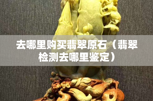 去哪里购买翡翠原石（翡翠检测去哪里鉴定）