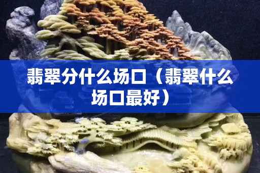 翡翠分什么场口（翡翠什么场口最好）