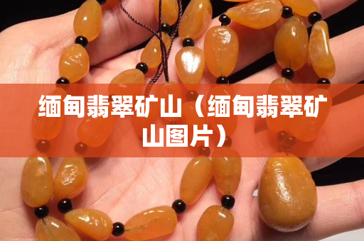 缅甸翡翠矿山（缅甸翡翠矿山图片）