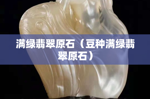 满绿翡翠原石（豆种满绿翡翠原石）
