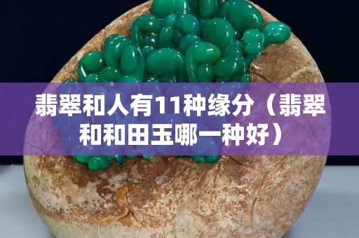 翡翠和人有11种缘分（翡翠和和田玉哪一种好）