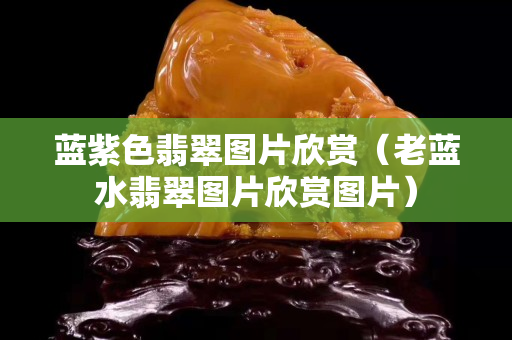 蓝紫色翡翠图片欣赏（老蓝水翡翠图片欣赏图片）