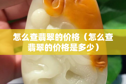 怎么查翡翠的价格（怎么查翡翠的价格是多少）