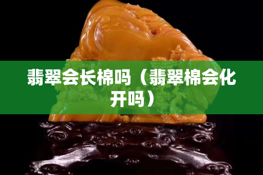 翡翠会长棉吗（翡翠棉会化开吗）