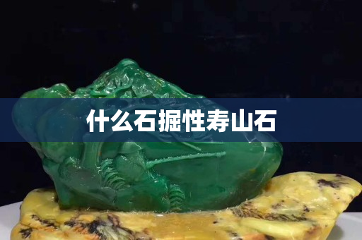 什么石掘性寿山石