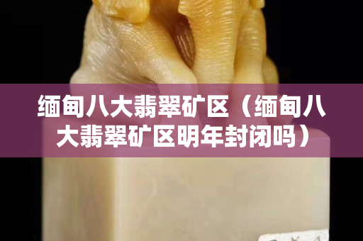 缅甸八大翡翠矿区（缅甸八大翡翠矿区明年封闭吗）